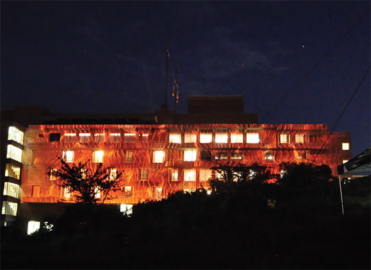 TECHRIG--ELECTROSONIC-SA-COLLABORATE1