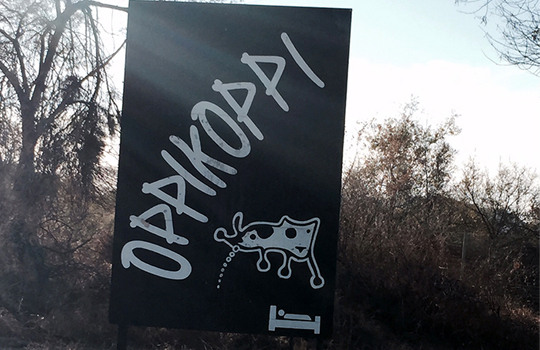 STAGE EFFECTS AND BLUE ARRAY ROCK OPPIKOPPI 2015